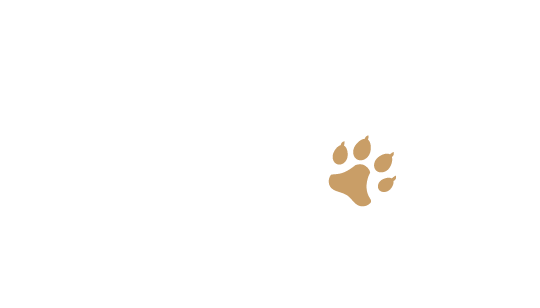 Jack de Brana